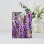 Prachtige paarse lavendeventiel briefkaart (Staand voorkant)