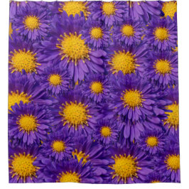 Prachtige Paarse Michaelmas Daisies Douchegordijn