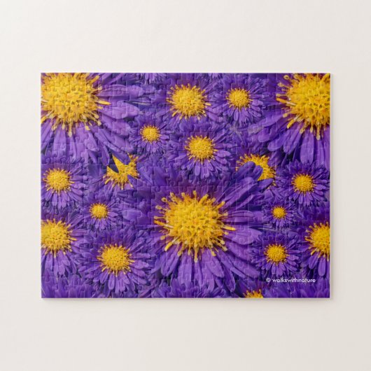 Prachtige Paarse Michaelmas Daisies Legpuzzel (Horizontaal)