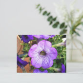 Prachtige Paarse Petunia Briefkaart (Staand voorkant)