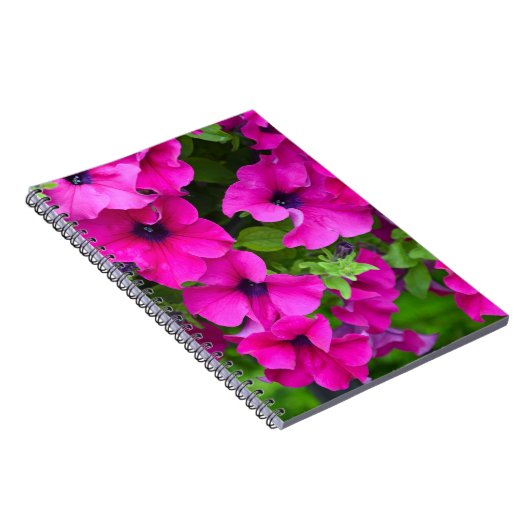 Prachtige paarse petunia notitieboek (Rechterzijde)