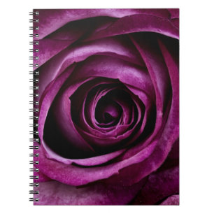 Prachtige Paarse Roos Flower Spiral notebook Notitieboek