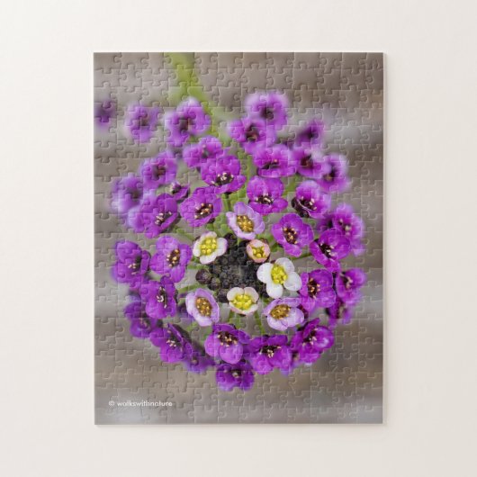 Prachtige Paarse Sweet Alyssum Legpuzzel (Verticaal)