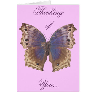 Prachtige Paarse vlinder