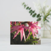 Prachtige paascactus bloemen feestdagenkaart (Staand voorkant)