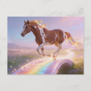 Prachtige Paint Horse Merrie Die De Regenboogbrug Briefkaart