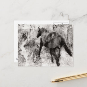Prachtige Paint Horse Merrie en Veulen  Briefkaart