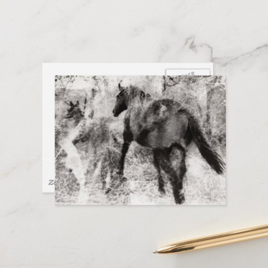 Prachtige Paint Horse Merrie en Veulen Briefkaart (Voorkant / Achterkant in situ)