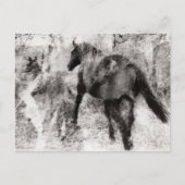 Prachtige Paint Horse Merrie en Veulen Briefkaart (Voorkant)