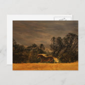 Prachtige palomino in de zon briefkaart (Voorkant / Achterkant)