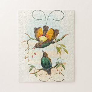 Prachtige paradijsvogel door John Gould Legpuzzel