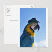 Prachtige Parrot die een Pet draagt Briefkaart (Voorkant / Achterkant)