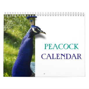 Prachtige Pauw 2027 Kalender