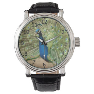 Prachtige Pauw Horloge