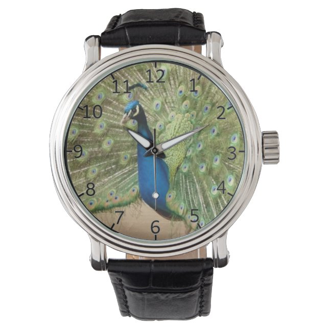 Prachtige Pauw Horloge (Voorkant)