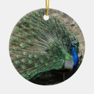Prachtige Pauw Keramisch Ornament