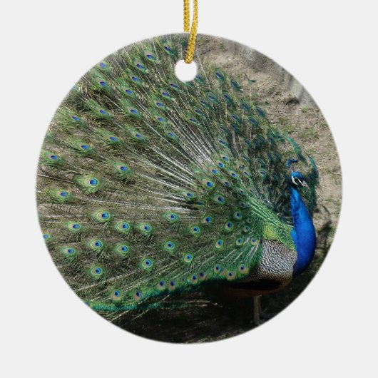 Prachtige Pauw Keramisch Ornament (Voorkant)