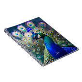 Prachtige pauw met blauwgroen en gouden verenkleed notitieboek (Rechterzijde)