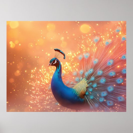 Prachtige Pauw met Levendig Verenkleed Poster (Voorkant)