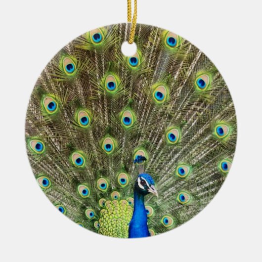 Prachtige pauw vogel keramisch ornament (Voorkant)