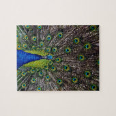 Prachtige pauw vogel legpuzzel (Horizontaal)