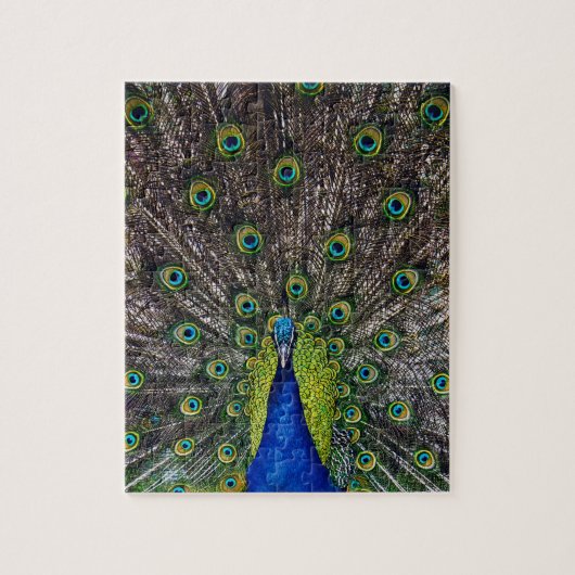 Prachtige pauw vogel legpuzzel (Verticaal)