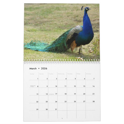 Prachtige Peacock 2025 Kalender (Mar 2026)