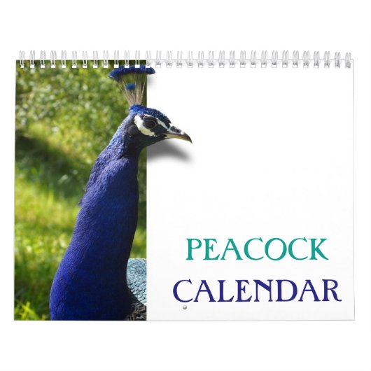 Prachtige Peacock 2025 Kalender (Hoes)