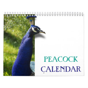 Prachtige Peacock 2025 Kalender
