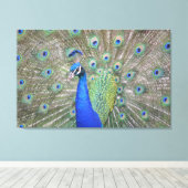 Prachtige Peacock Canvas Afdruk (Insitu (Houten vloer))