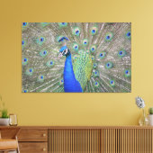 Prachtige Peacock Canvas Afdruk (Insitu (Woonkamer))