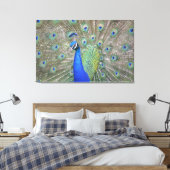 Prachtige Peacock Canvas Afdruk (Insitu (Slaapkamer))