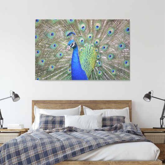 Prachtige Peacock Canvas Afdruk (Insitu (Slaapkamer))