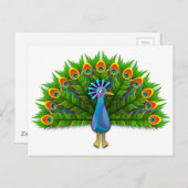 Prachtige Peacock Displayling Plumage Briefkaart (Voorkant / Achterkant)