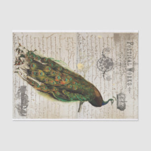 Prachtige Peacock Ephemera Collage Tissuepapier