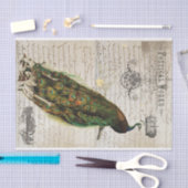Prachtige Peacock Ephemera Collage Tissuepapier (Craft)