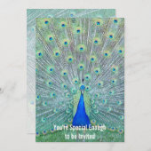 Prachtige Peacock Je bent uitgenodigd Kaart (Voorkant / Achterkant)