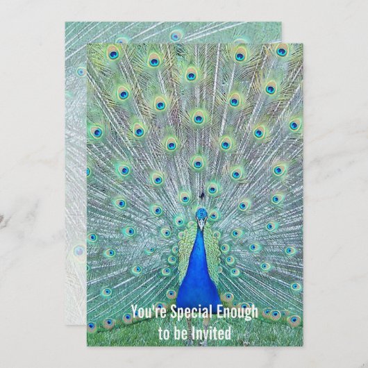 Prachtige Peacock Je bent uitgenodigd Kaart (Voorkant / Achterkant)