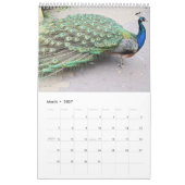 Prachtige Peacocks 2021 Kalender (Mar 2027)