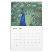 Prachtige Peacocks 2021 Kalender (Feb 2027)