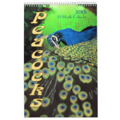 Prachtige Peacocks 2021 Kalender (Hoes)