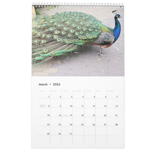 Prachtige Peacocks 2021 Kalender (Mar 2026)