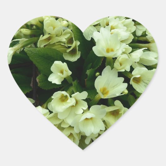 Prachtige pellerige peper Primroses in droge blade Hart Sticker (Voorkant)