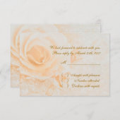 Prachtige perzikcrème rozen RSVP (Voorkant / Achterkant)