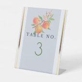 Prachtige perziken open bar reclamebord met voetstuk (Voorkant)