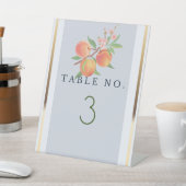 Prachtige perziken open bar reclamebord met voetstuk (Insitu)