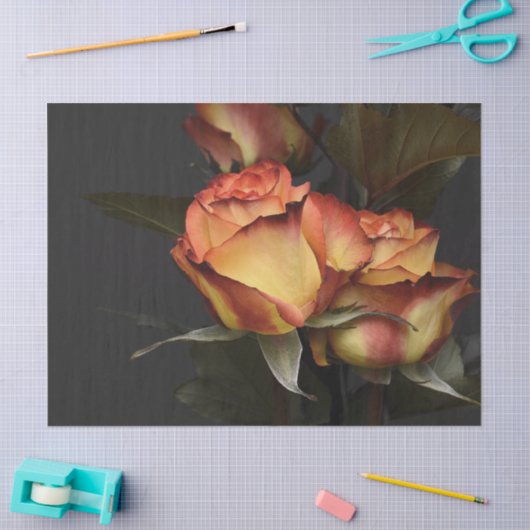 Prachtige perzikkleurige en roestkleurige pedalen  tissuepapier (Craft)