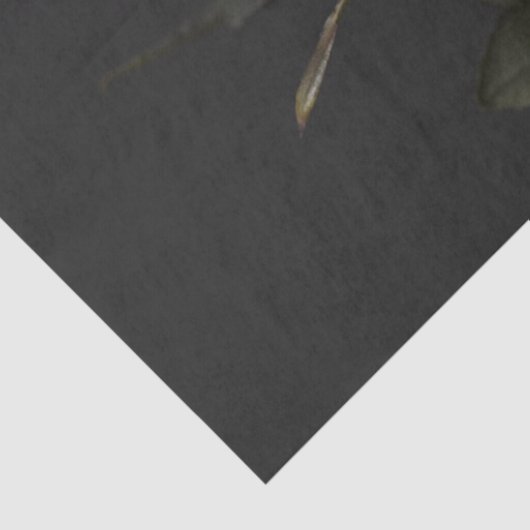 Prachtige perzikkleurige en roestkleurige pedalen  tissuepapier (Detail)