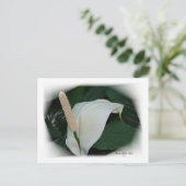 Prachtige Petals 12 Briefkaart (Staand voorkant)