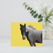 Prachtige Piebald Pony Briefkaart (Staand voorkant)